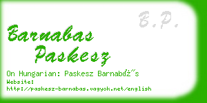 barnabas paskesz business card